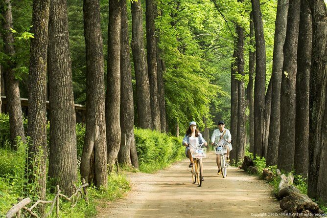 One Day Private Tour-Nami, Petite and Garden of Morning Calm - Timing, Pacing, and How to Avoid a Speed-Run Day
