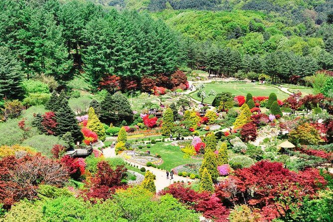 One Day Private Tour-Nami, Petite and Garden of Morning Calm - The Best Way to Think About This Day Trip