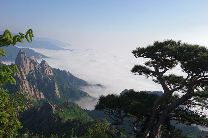 One-Day Tour for stunning Mt.Seoraksan from Seoul - Private Pickup, Private Vehicle, Real-Time Comfort