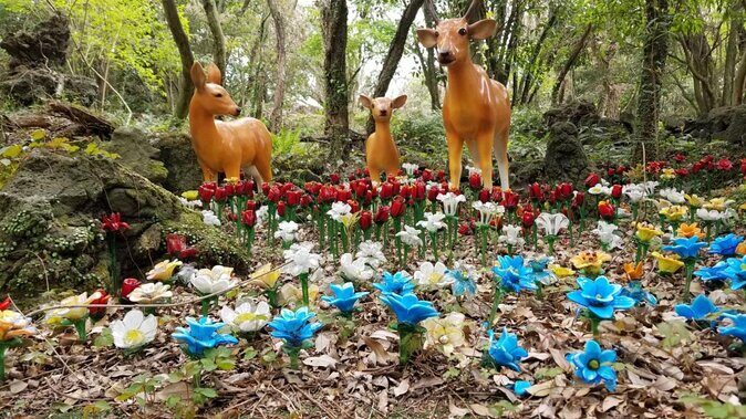 Package tour of All areas of Jeju Island-(East &South &West) - Key Highlights at a Glance