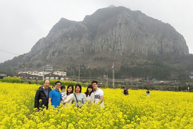 Package tour of All areas of Jeju Island-(East &South &West) - Sinchang Windmills and Handam Coastal Trails: Sea Views with a Different Texture