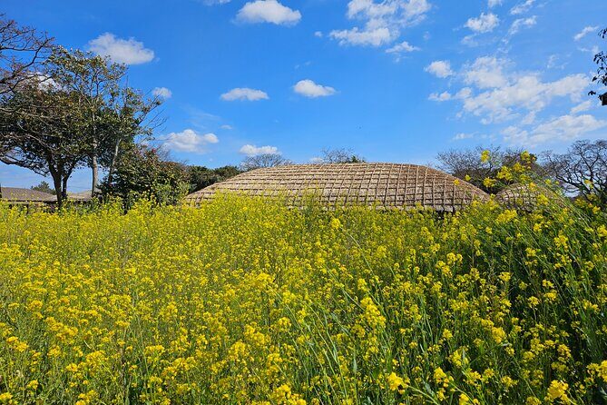 Private 2Days Tour a lot of Experience Driver in jeju island - Eco Land Theme Park: A Forest Train Break from the Big Spots