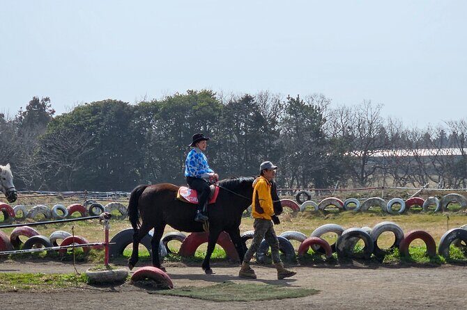 Private 2Days Tour a lot of Experience Driver in jeju island - Day 2: Eoseungsaengak and Dokkaebi Road (Light Walking + Fun Optical Illusion)