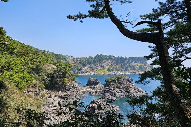 Private 2Days Tour a lot of Experience Driver in jeju island - Getting Going: Pickup, Car Comfort, and a Driver You Can Coordinate With