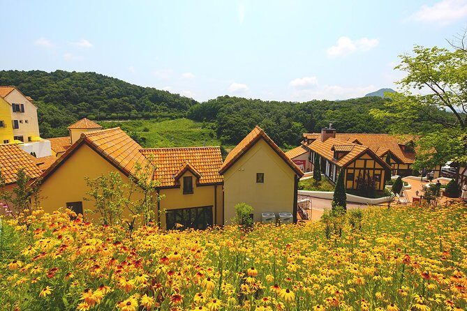 Private 4 days Nami Island&Petite France&Seoul&Everland tour - Should You Book This Private 4-Day Seoul Tour?