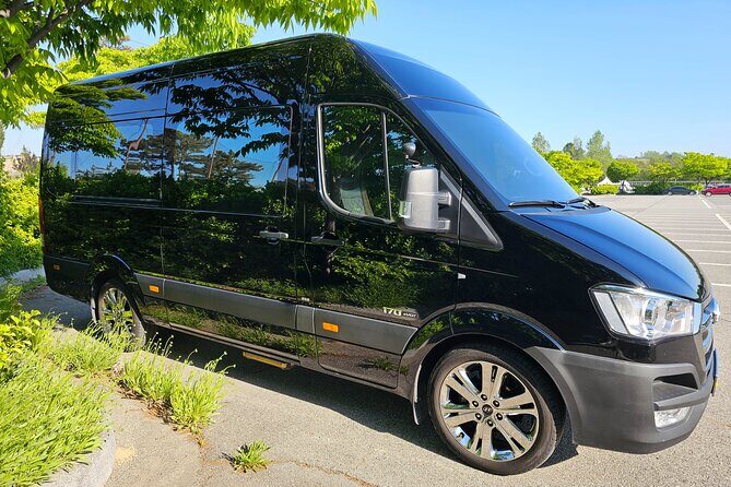 Private Airport Transfer From Incheon Airport To Seoul(up to 12) - Who should book this transfer (and who might skip it)