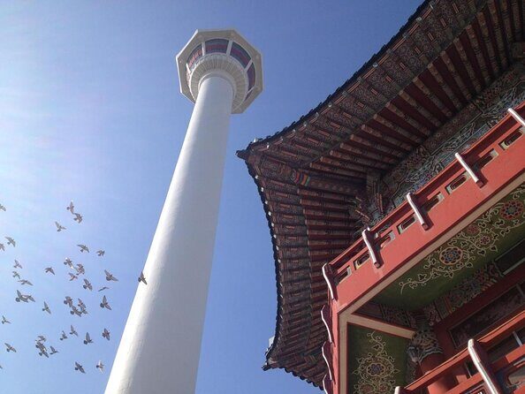 Private Busan Tour with hidden gem of Busan by Local Guide - Key things I’d highlight before you go