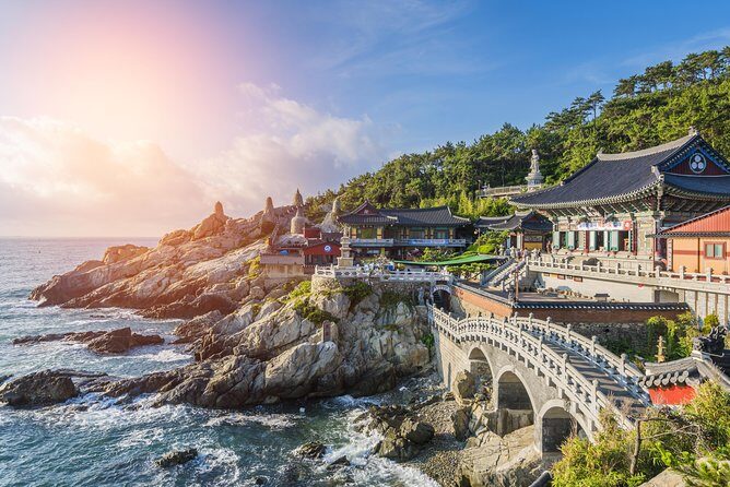 Private Busan Tour with hidden gem of Busan by Local Guide - How a private Busan route actually works (and why it’s worth it)