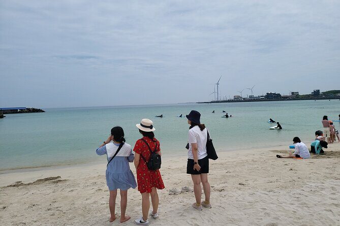 Private Day tour East & south & west of All area in jeju island - Why This Jeju Taxi Tour Works When Time Is Tight