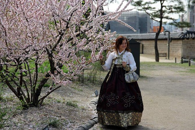 Private day tour Korea(Seoul trip) with Professional Photographer - South Seoul: Folk Village Area, Fortress, and Everland Time