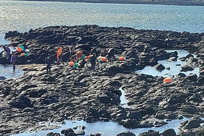 Private Day Tour With Best Jumbo Taxi Driver Tour in jeju island - Woljeong-ri Beach and the coastal café break you’ll remember