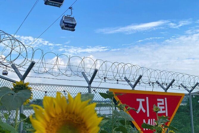 [Private] DMZ & Imjingak Peace Gondola Experience Inter-Korean War - Should you book the DMZ & Imjingak Peace Gondola day?