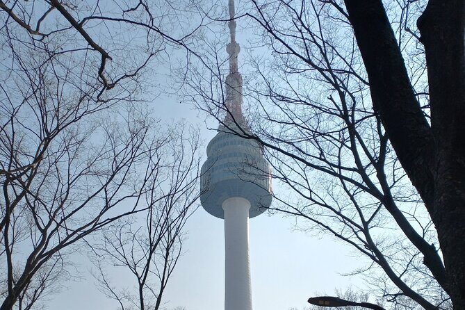 Private Full Day Seoul City Tour and N Tower Cable Car - Price and value: what you’re paying for in this private format