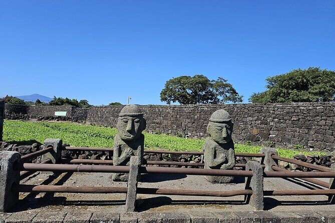 Private Jeju Geopark Gotjawal and Oreum Trekking Experience - Getting the Walk Started in Osulloc Tea Fields