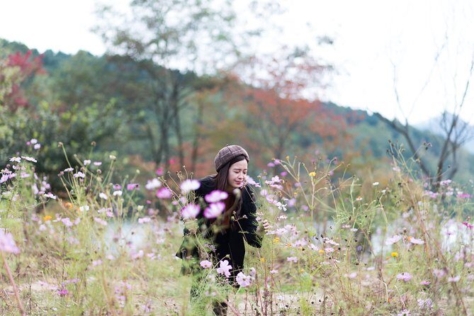Private Nami Island Photo Shoot and Tour with a Photographer - Chuncheon dakgalbi lunch time: budget it and don’t rush it