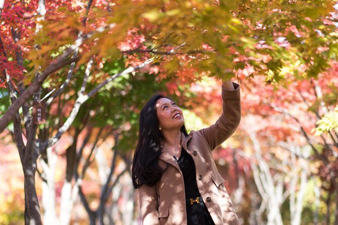 Private Nami Island Photo Shoot and Tour with a Photographer - Price and value: where the $179 gets you real convenience