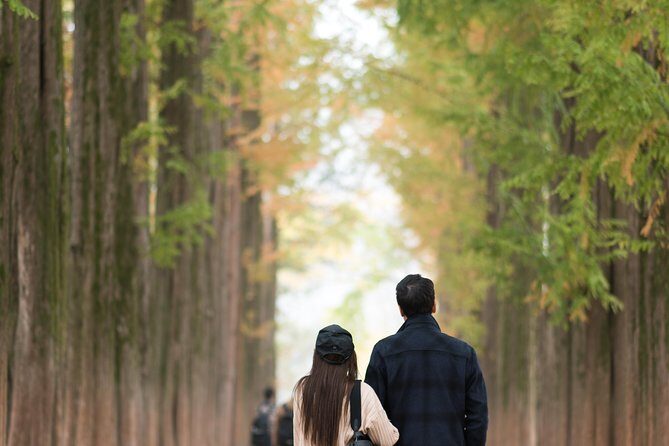 Private Nami Island Photo Shoot and Tour with a Photographer - How the photographer guide helps you get better photos faster