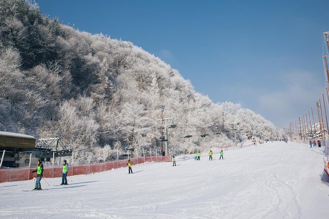 Private Ski Tour(Lesson) near Seoul at Elysian Gangchon Resort - Private-Style Coaching: Small Groups That Actually Teach