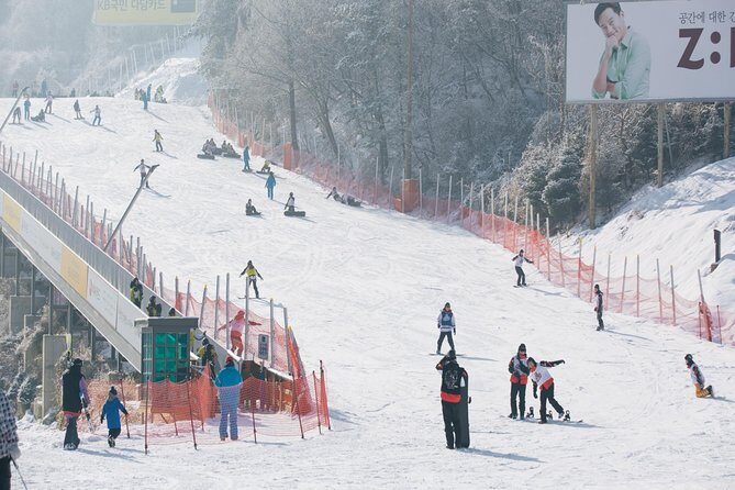 Private Ski Tour(Lesson) near Seoul at Elysian Gangchon Resort - Price and Value: What $228 Covers (and What to Add)