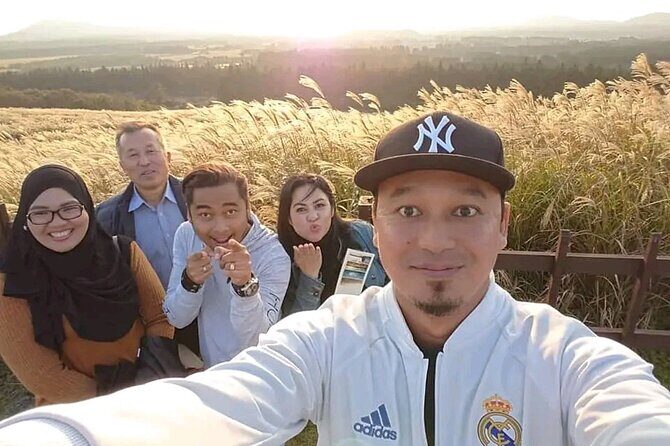 Private Tour in South and East in jeju island - Why a South & East Jeju Taxi Day Feels Efficient