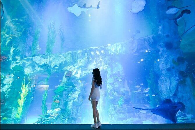 Private tour Lotte World,Tower,Aquarium(All Tickets are included) - Lotte World Adventure and Magic Island: Best Use of Your 5 Hours
