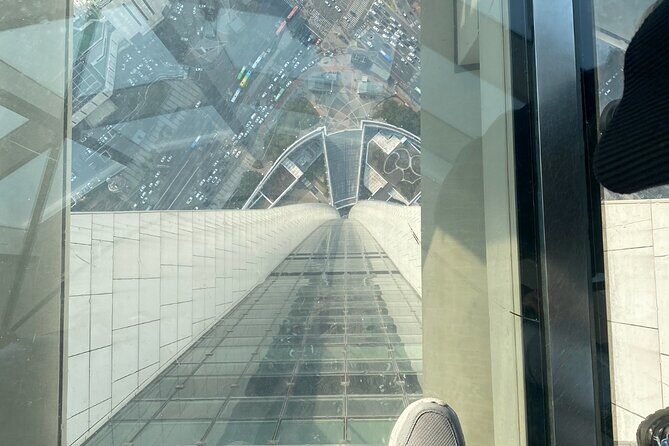 Private tour Lotte World,Tower,Aquarium(All Tickets are included) - Lotte World Tower: Seoul Sky Views and the Glass Photo Moment