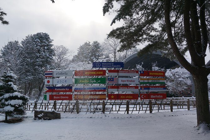 Private Tour: Nami Island& (Alpaca World 'or' Morning Calm)&Lunch - What you’re really paying for at $226 per person