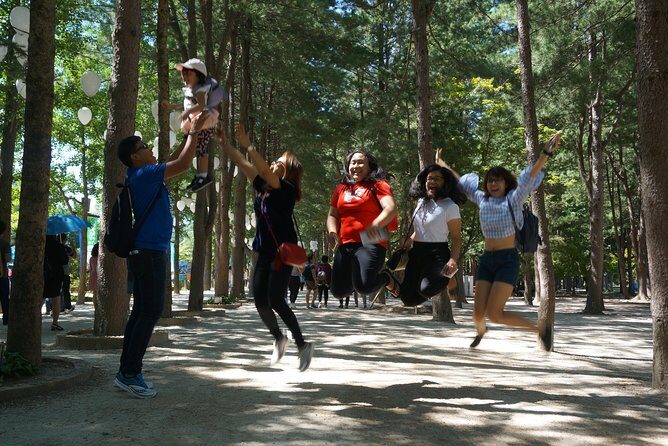 Private Tour: Nami Island& (Alpaca World 'or' Morning Calm)&Lunch - Nami Island: 4 hours on tree-lined paths and photo-friendly calm