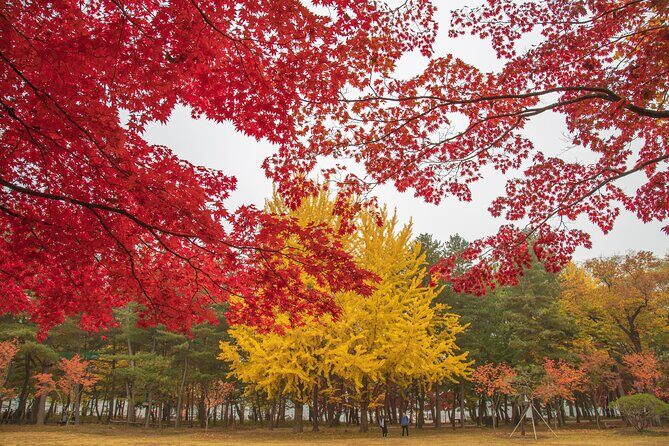 (Private tour) Nami Island + Railbike + Garden of morning calm - A Private Combo That Cuts the Planning Headaches