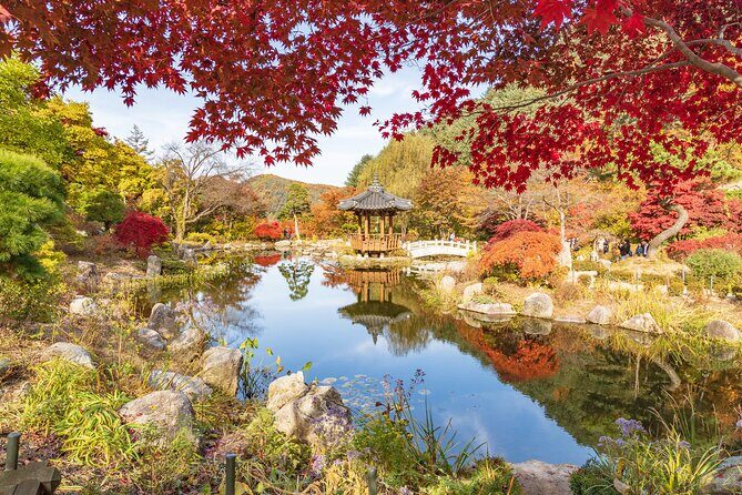 (Private tour) Nami Island + Railbike + Garden of morning calm - Price and What Makes It Feel Like Value