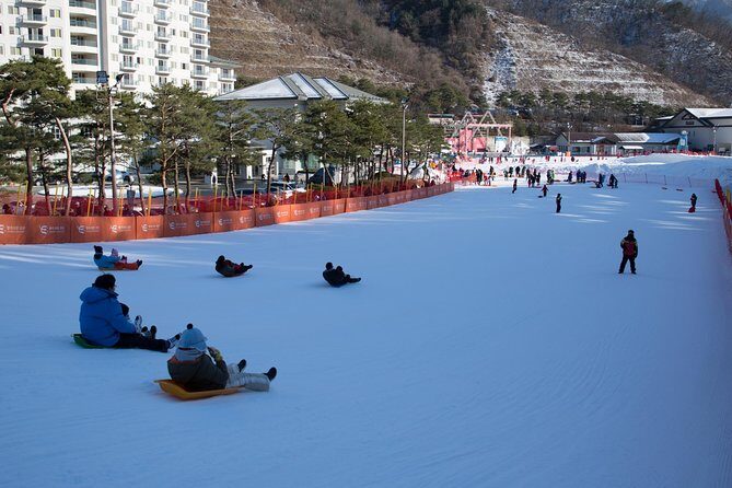 [Private Tour] Nami Island & Snow Viewing and Snow sled (More Members Less Cost) - Starting from Seoul: pickup, private driving, and time on the road