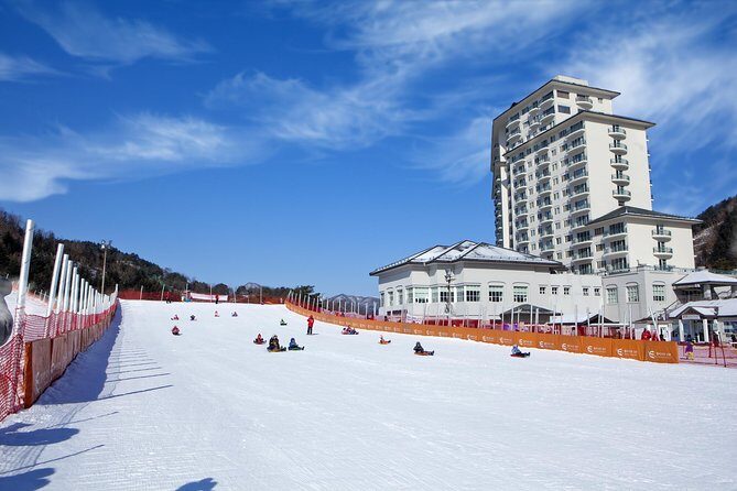 [Private Tour] Nami Island & Snow Viewing and Snow sled (More Members Less Cost) - The guide and private format: why this tour feels less stressful
