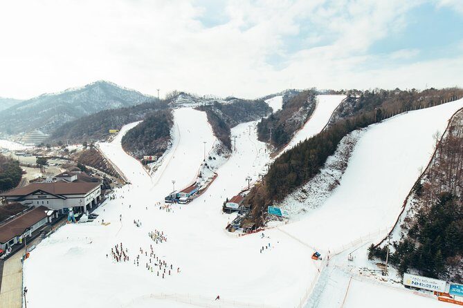 [Private Tour] Nami Island & Snow Viewing and Snow sled (More Members Less Cost) - Price and value: $224 per person makes sense when admission is included