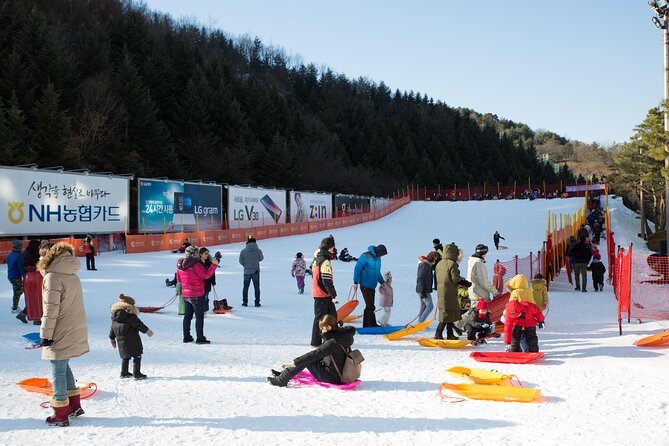 [Private Tour] Nami Island & Snow Viewing and Snow sled (More Members Less Cost) - What to bring and how to set expectations for winter