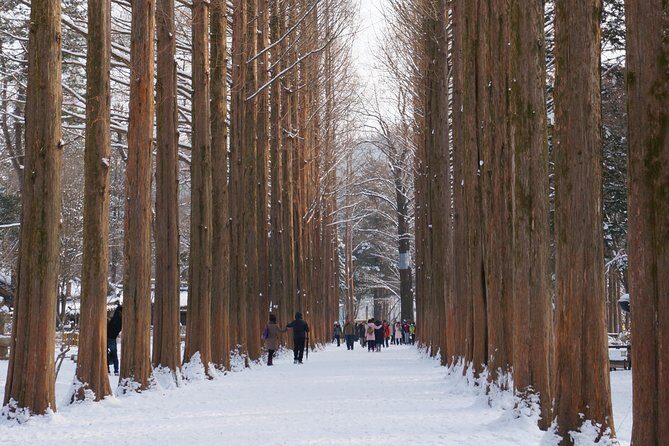 [Private Tour] Nami Island & Snow Viewing and Snow sled (More Members Less Cost) - Who this tour is best for (and who might prefer another plan)
