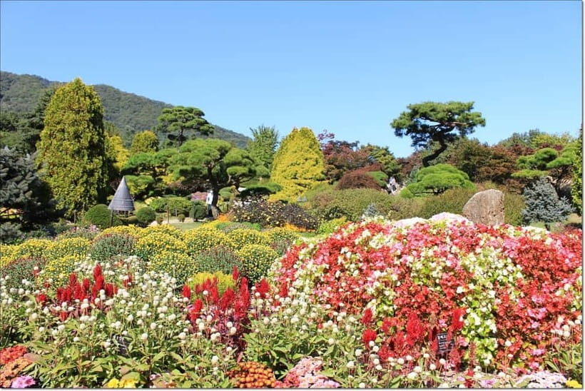 [Private Tour] Nami Island+Morning calm Garden+Petite France - Petite France: Little Prince Charm Plus Marionette Performances