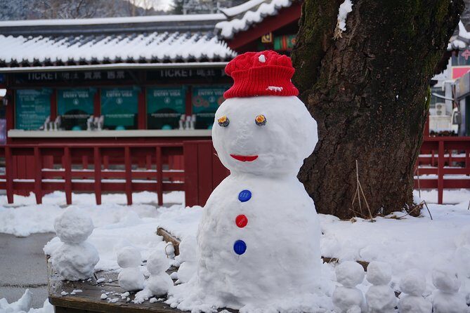Private Tour Rail Bike & Nami Island & (Petite France or Garden of Morning Calm) - A private day outside Seoul that actually feels flexible