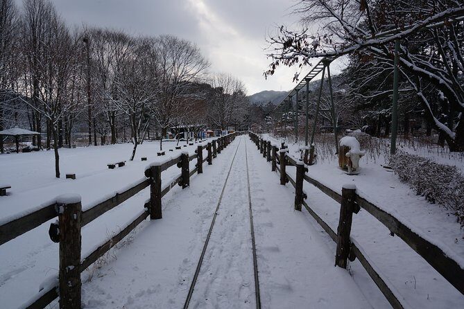 Private Tour Rail Bike & Nami Island & (Petite France or Garden of Morning Calm) - Price and value: $196 is easier to justify when admissions are bundled