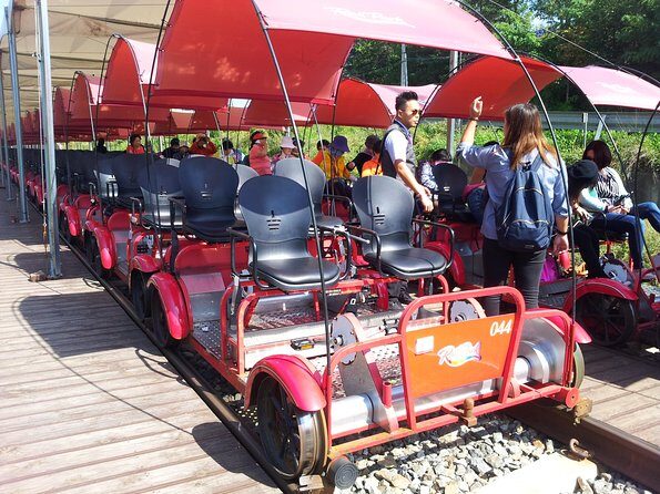 Private Tour Rail Bike & Nami Island & (Petite France or Garden of Morning Calm) - Should you book this private rail bike and Nami day trip?