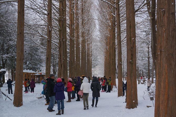 Private Tour Rail Bike & Nami Island & (Petite France or Garden of Morning Calm) - Gapyeong Rail Park: a rail-bike ride on old tracks by the river