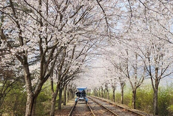Private Tour to Alpaca world &Nami Island& Railbike with Tickets - Who this tour suits best