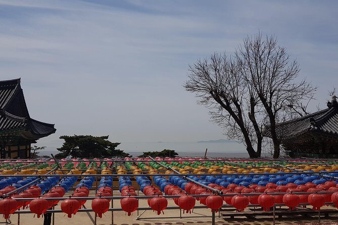 Private Trip to Seongmo Island(Temple) and North Korea Observatory+Kimchi Lesson - Choosing your Ganghwa Island time: bikes, picnics, strolls, seagulls
