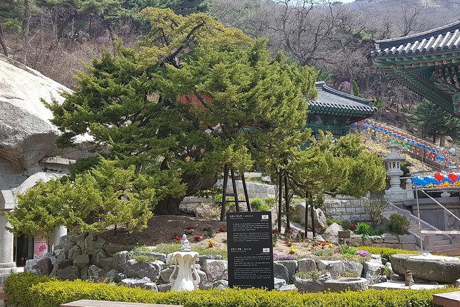 Private Trip to Seongmo Island(Temple) and North Korea Observatory+Kimchi Lesson - Kimchi lesson + hanbok photo time in one focused hour