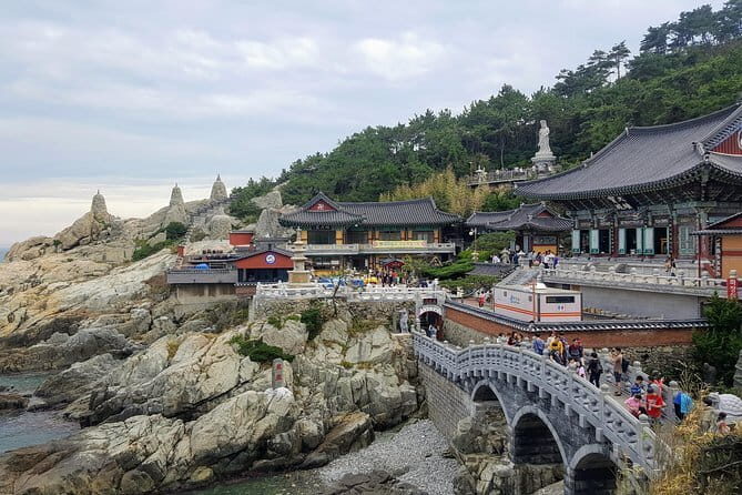 Real Busan Walking Experience - Jagalchi Market: seafood stalls you can actually enjoy