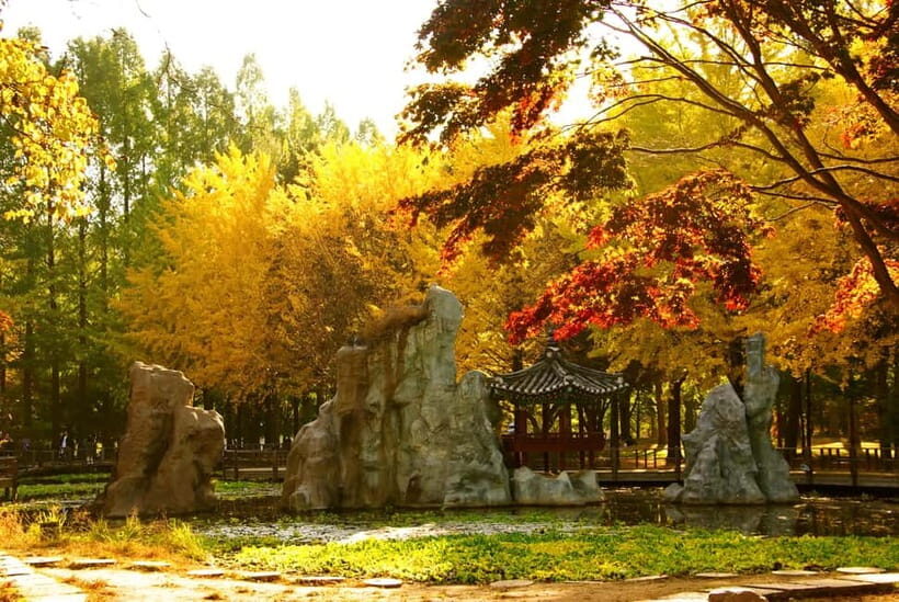 Seoul: Alpaca World and Nami Island (with Garden / Railbike) - FAQ