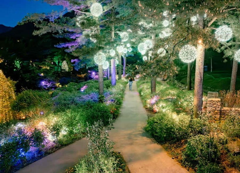 Seoul: Alpaca World and Nami Island (with Garden / Railbike) - Garden of Morning Calm vs light festivals: choosing your evening vibe
