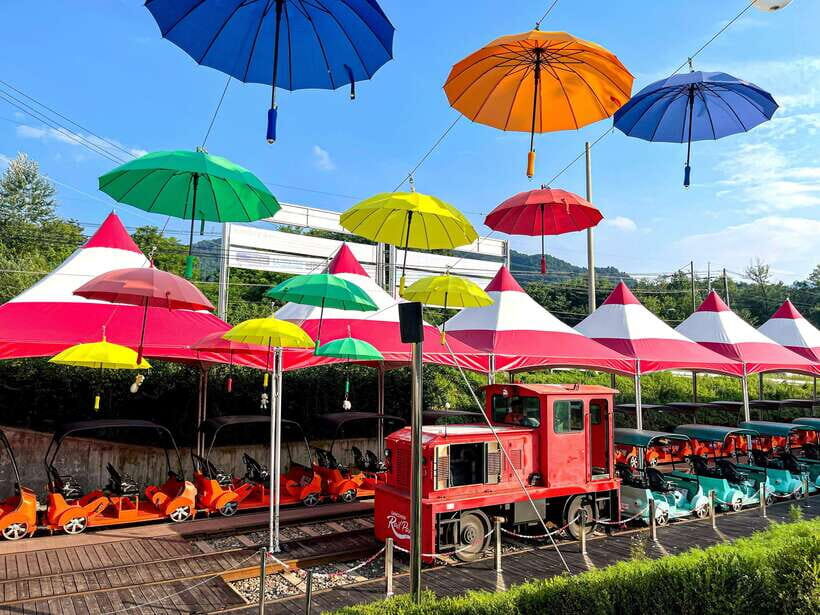 Seoul: Alpaca World, Railbike & Vivaldi Park Experience Tour - Who This Tour Fits Best (and Who Might Prefer Something Else)