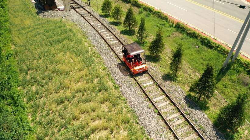 Seoul: Alpaca World, Railbike & Vivaldi Park Experience Tour - Vivaldi Park in Early to Mid-April: Cherry Blossom Road Photos