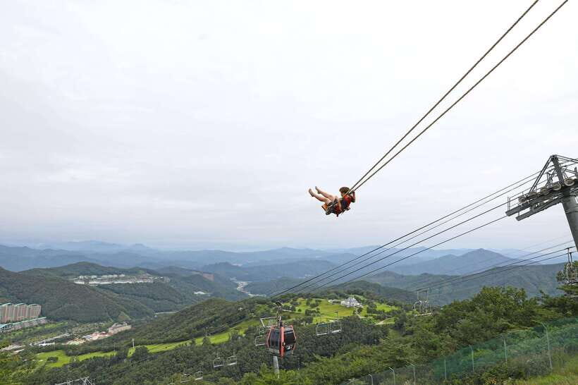 Seoul: Alpaca World, Railbike & Vivaldi Park Experience Tour - Luggage, Shoes, and Weather Reality for a Long Seoul Day Trip