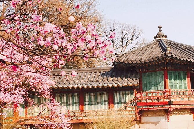 Seoul and Suburbs Private Customized Tour - Price Breakdown: When $244.76 Per Group Is Actually Good Value
